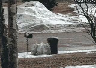 Pile Of Trash Bags Next To Mailbox In Snow GIF