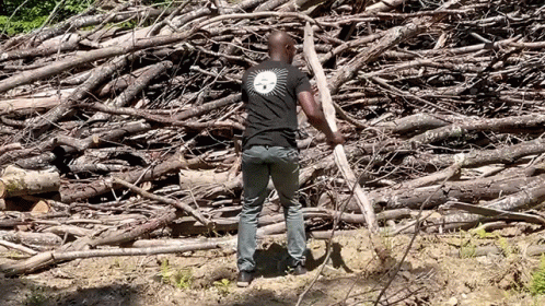 Piling Stick Wood GIF