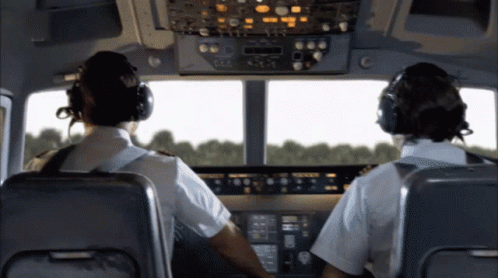 Pilot France Flight296 Plane Crash GIF