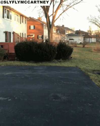 Pimp Walk Slide From The Side GIF