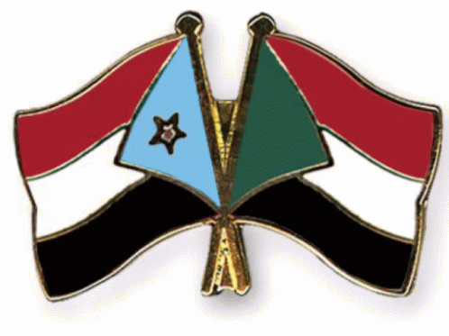 Pin with Two Flags One Has a Star