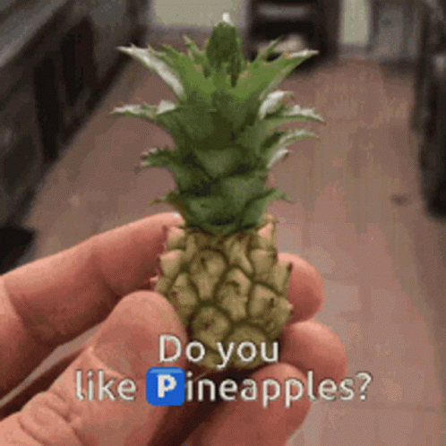 Pineapple 498 X 498 Gif GIF