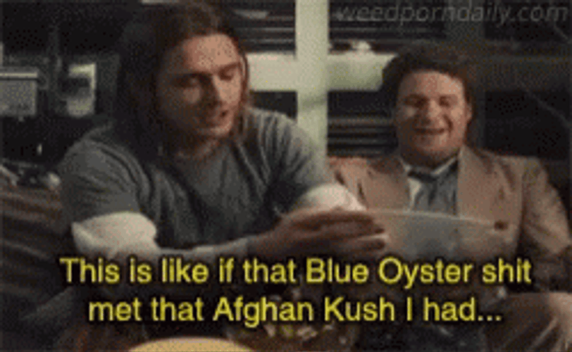 Pineapple Express James Franco Seth Rogen Laughing GIF