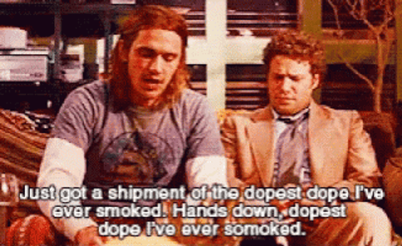 Pineapple Express Seth Rogen James Franco Talking GIF