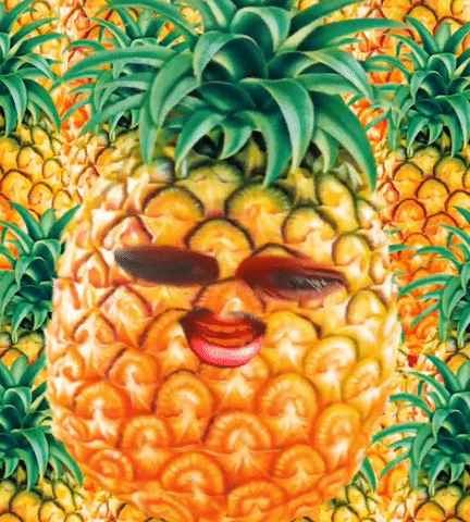 Pineapple Happy Spillage Village GIF