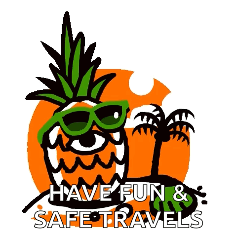 Pineapple Wearing Sunglasses Have Fun & Safe Travels