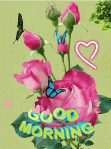 Ping Leung Special Good Morning GIF