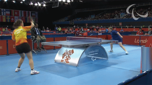 Ping Pong 498 X 280 Gif GIF