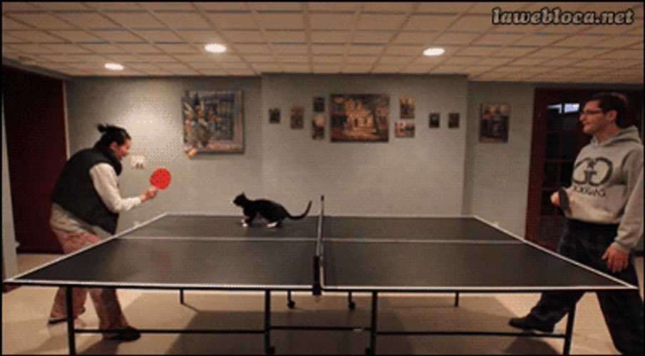 Ping Pong GIF