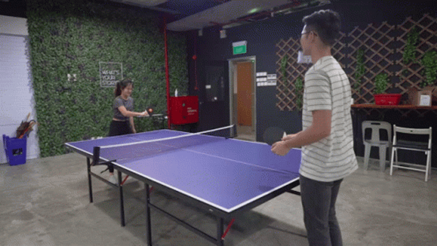 Ping Pong Inside The Room GIF