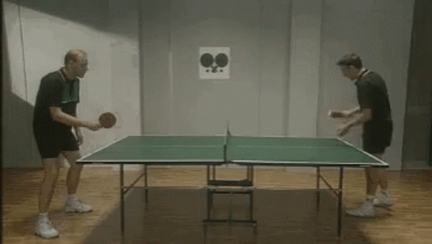 Ping Pong Playing Tactics GIF