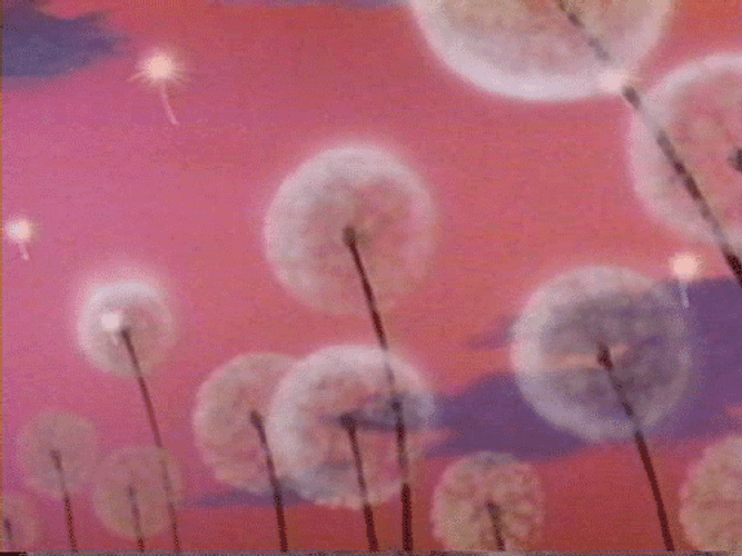 Pink Aesthetic Retro Anime Dandelions GIF