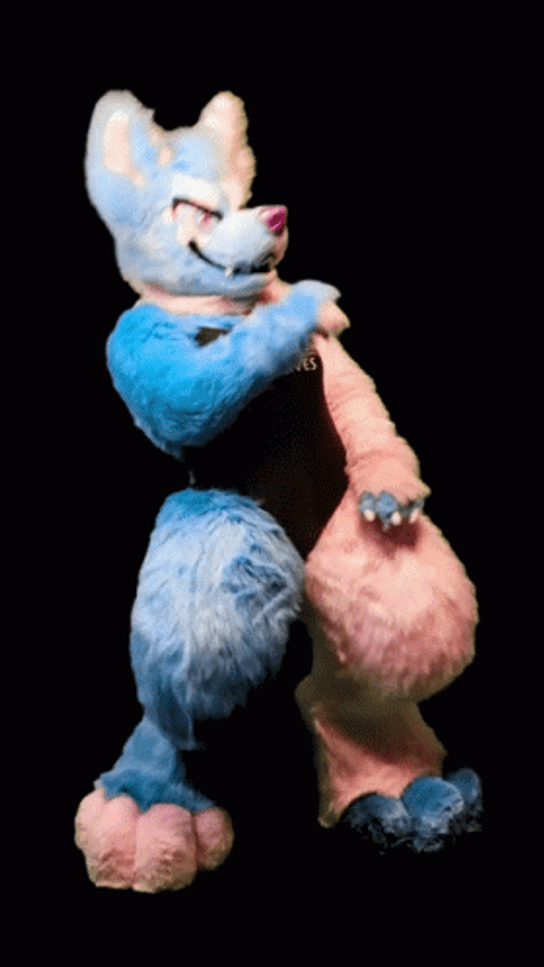Pink And Blue Furry Dance GIF