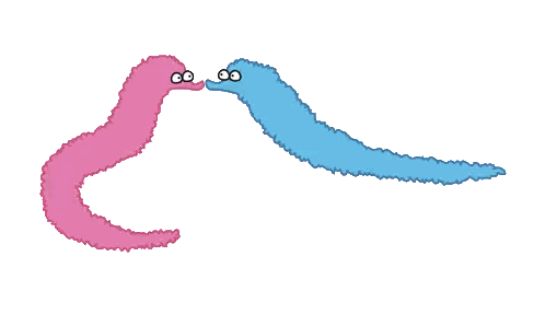 Pink and Blue Worm Kissing