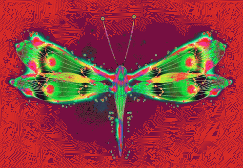 Pink And White Butterfly On Blue Dots GIF