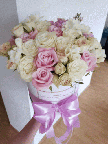 Pink And White Roses In Box With Purple Bow GIF
