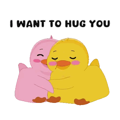 Pink and Yellow Duck Hugging