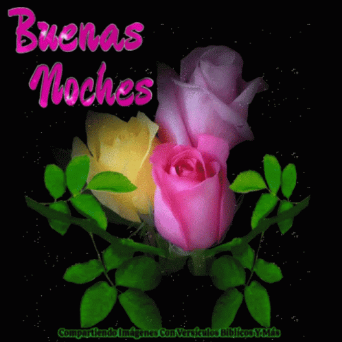 Pink And Yellow Roses On A Black Background With The Words Buenas Noches Above Them GIF