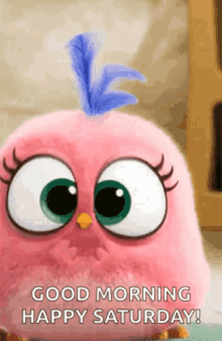 Pink Angry Bird Saying Good Morning