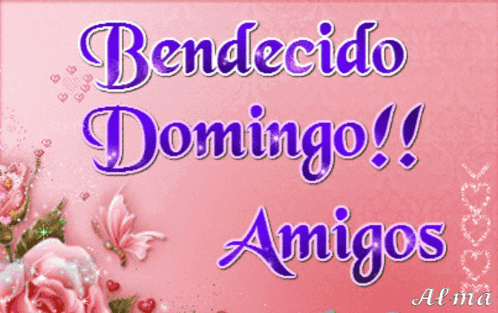 Pink Background Bendecido Domingo Amigos GIF