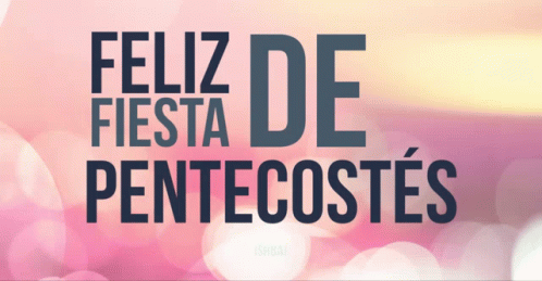 Pink Background Feliz Fiesta De Pentecostes