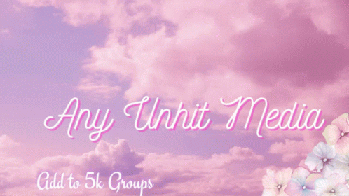 Pink Background with Flowers and Butterflies Saying Any Unhit Media