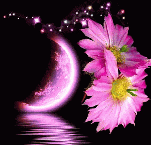 Beautiful Good Night Flowers GIF