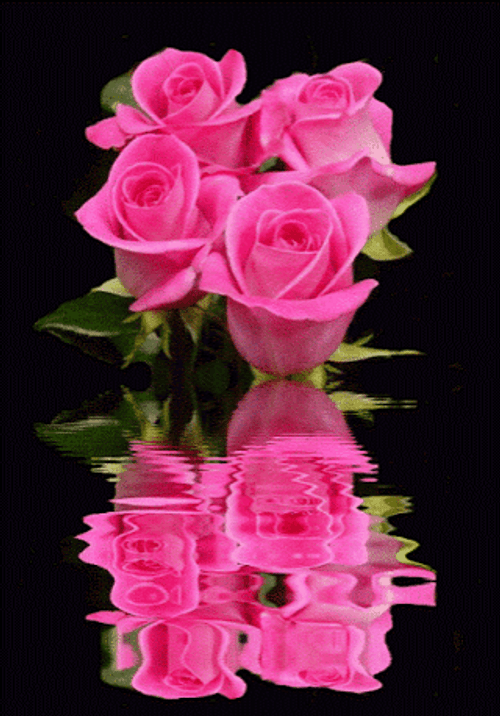 pink crystal flowers  Lovely flowers wallpaper, Beautiful gif, Beautiful  roses