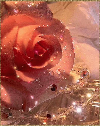 Pink Blooming Glittery Roses GIF