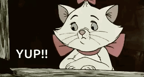 Pink Bow Cat Looking Out Window Saying Yup GIF
