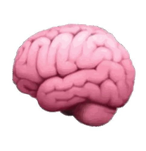 Pink Brain on White Background