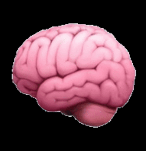Pink Brain With White Outline GIF