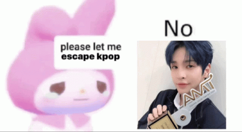 Pink Bunny Says Please Let Me Escape Kpop Next To Boy Holding CD GIF