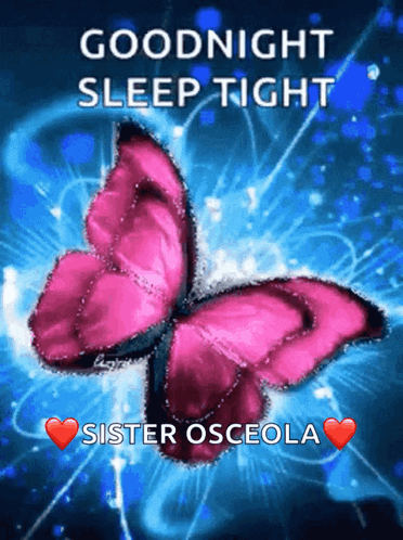 Pink Butterfly on Blue Background Goodnight Sleep Tight