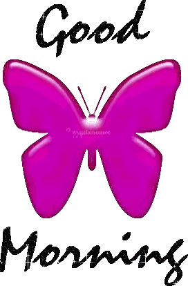 Pink Butterfly Saying Good Morning