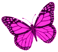 Pink Butterfly With Black Spots