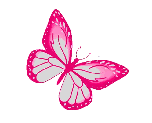 Pink Butterfly With White Spots