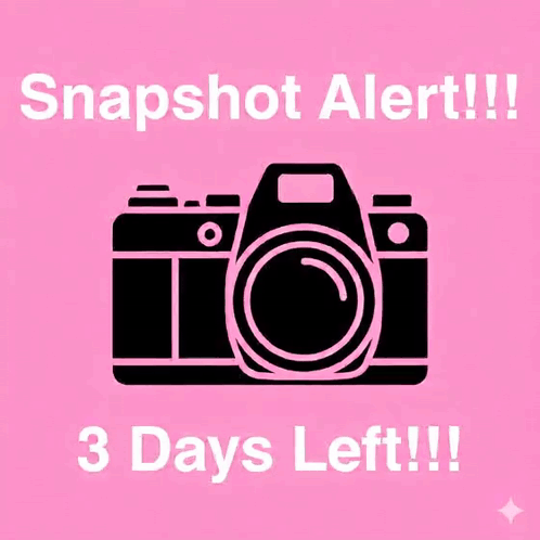 Pink Camera Circle Snapshot Alert