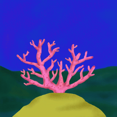 Pink Coral With Sunglasses GIF