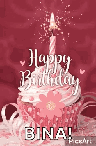 Pink Cupcake With Candle Saying Happy Birthday Bina