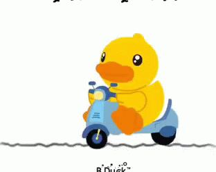 Pink Duck Next To Yellow Duck On Scooter GIF
