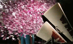 Pink Falling Confetti On Stage GIF