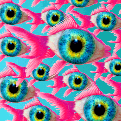Pink Fish With Blue Eyes