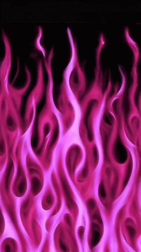 Pink Flames On Black Background GIF
