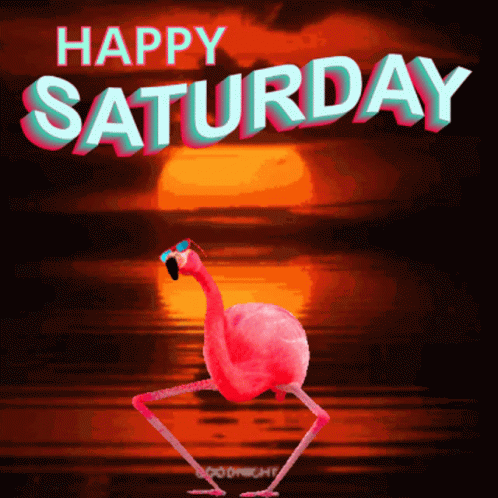 Pink Flamingo Dancing in Sunglasses Happy Saturday