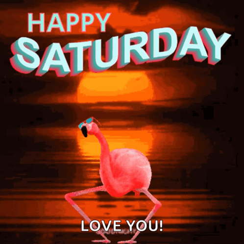 Pink Flamingo Dancing Sunglasses Happy Saturday Love You GIF
