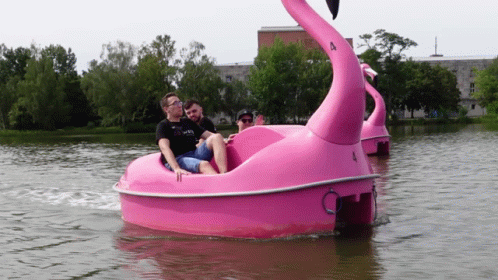 Pink Flamingo Paddle Boat With Number 4 GIF