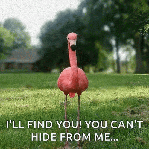 Pink Flamingo Saying I'll Find You You Can't Hide From Me GIF