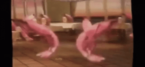 Pink Flamingos Dancing In A Room GIF