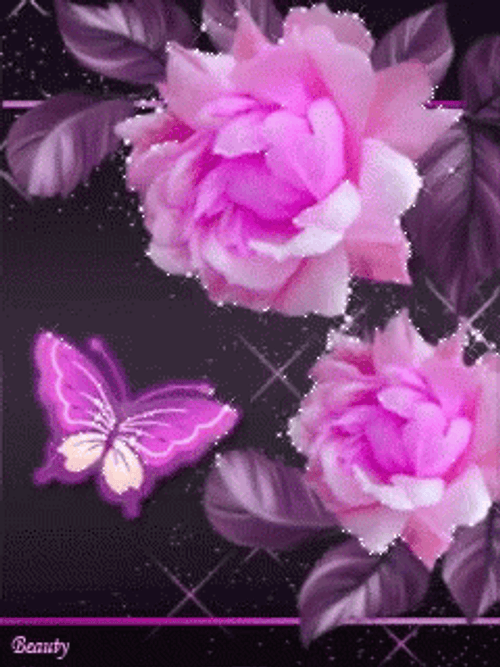 Artistic Flower Gif  Gif Abyss